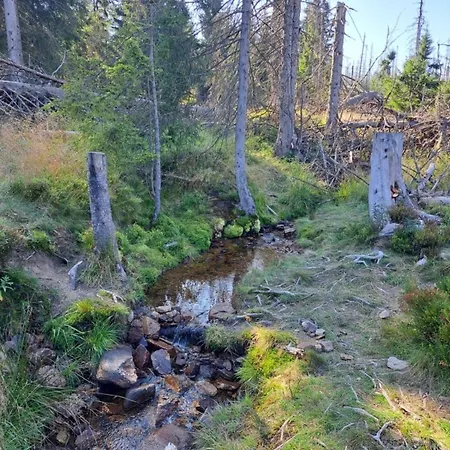 Pfeiffer Gross Appartement *