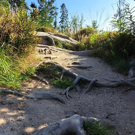 Pfeiffer Gross Appartement Sankt Andreasberg
