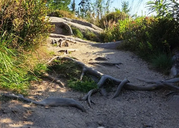 Pfeiffer Gross Daire Sankt Andreasberg